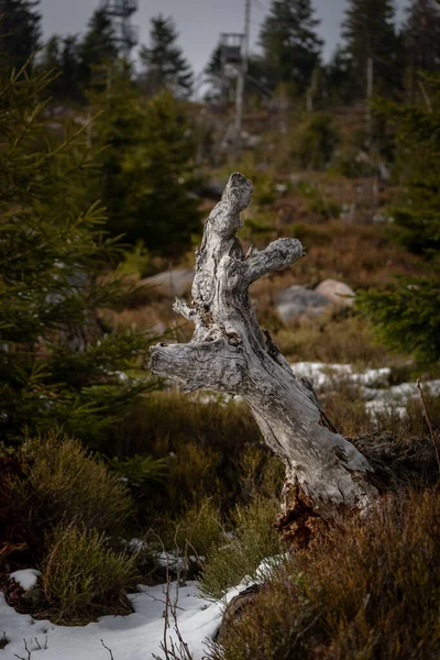 Paisagem Ponto Mais Alto Floresta Negra Hornisgrinde Inverno Com Neve — Fotografia de Stock