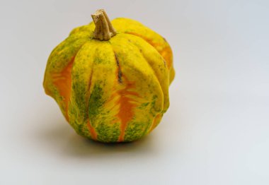 Beyaz zeminde izole edilmiş özel süs balkabağı.