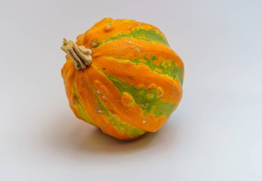 Beyaz zeminde izole edilmiş özel süs balkabağı.