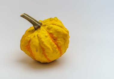 Beyaz zeminde izole edilmiş özel süs balkabağı.