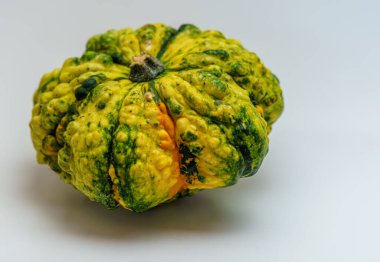 Beyaz zeminde izole edilmiş özel süs balkabağı.