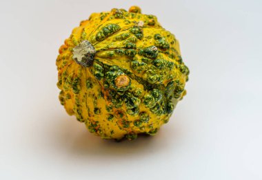 Beyaz zeminde izole edilmiş özel süs balkabağı.