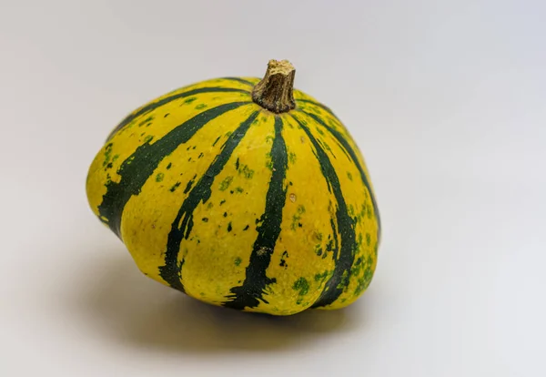 Speciale Zucca Ornamentale Isolata Fondo Bianco — Foto Stock