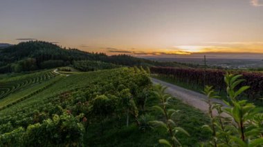Timelapse 4k: Almanya 'da yol ve gün batımında mavi gökyüzü olan Kara Orman manzarası