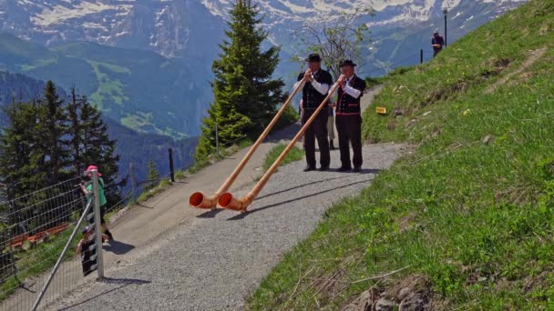 Schynige Platte Suisse 2019 Deux Gars Qui Jouent Corne Alpine — Video