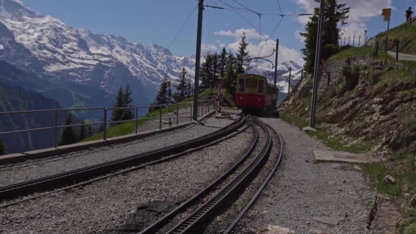 Поезд Прибывает Железнодорожный Вокзал Schynige Platte Швейцария — стоковое видео