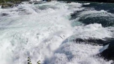 Rhyne Falls (Rheinfall), İsviçre 'nin Schaffhausen kentinde güneşli bir günde. Avrupa 'nın en büyük şelalesidir..