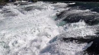 Rhyne Falls (Rheinfall), İsviçre 'nin Schaffhausen kentinde, güneşli bir günde, suyun üzerinde bir gökkuşağı ile. Avrupa 'nın en büyük şelalesidir..