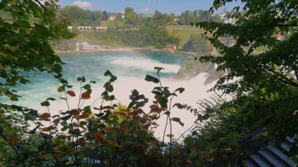 瑞士沙夫豪森的Rhyne Falls 瑞因法尔 是一个阳光灿烂的日子 水面上挂着彩虹 它是欧洲最大的瀑布 — 图库视频影像