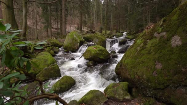 Відео Водоспаду Гертельбах Чорному Лісі Німеччині Камінням Повним Моху Восени — стокове відео