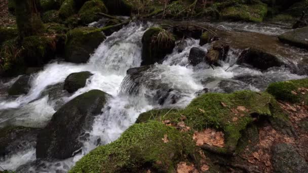 Slow Motion Vidéo de la cascade Gertelbach en Forêt Noire en Allemagne avec des pierres pleines de mousse à l'automne avec des feuilles de couleur orange 