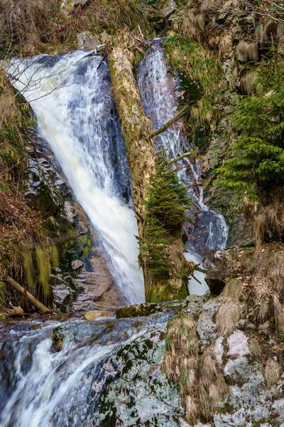 All Saints Waterfalls Allerheiligen Wasserfaelle Floresta Negra Oppenau Baden Wuerttemberg — Fotografia de Stock