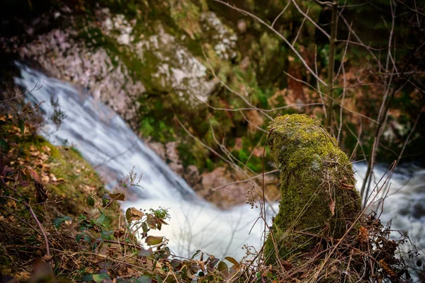 All Saints Waterfalls Allerheiligen Wasserfaelle Black Forest Oppenau Baden Wuerttemberg — Stock Fotó