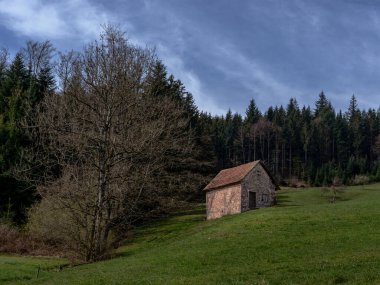 Tipik eski evleri olan Kara Orman manzarası, Almanya, Avrupa