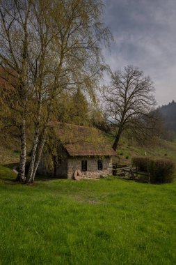 Kara Orman 'daki eski su değirmeni, Baden-Wrttemberg, Almanya
