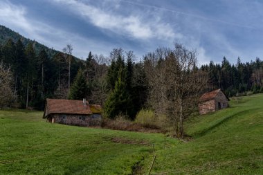Tipik eski evleri olan Kara Orman manzarası, Almanya, Avrupa