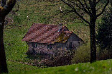 Tipik eski evleri olan Kara Orman manzarası, Almanya, Avrupa