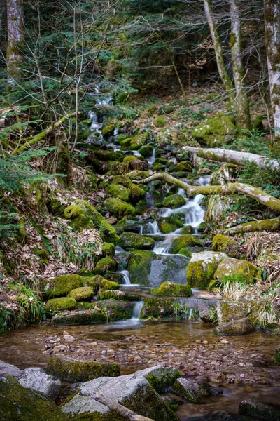 Wodospady Wszystkich Świętych Allerheiligen Wasserfaelle Czarny Las Oppenau Baden Wuerttemberg — Zdjęcie stockowe