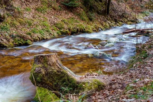 全聖人の滝 Allerheiligen Wasserfaelle 黒の森 Openau Baden Werttemberg Germany — ストック写真