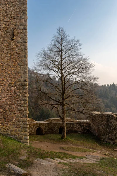 Vista Castelo Medieval Schauenburg Perto Oberkirch Condado Ortenau Floresta Negra — Fotografia de Stock