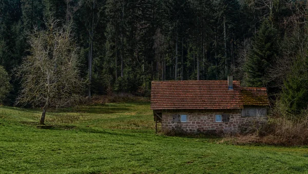 Krajobraz Czarnego Lasu Typowymi Starymi Domami Niemcy Europa — Zdjęcie stockowe