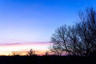 Durbach 'taki Stauffenberg Şatosu. Almanya' daki Kara Orman Bölgesi.