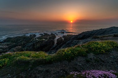 Kuzey Cornwall 'daki Towan Burnu Newquay Fistral Sahili, İngiltere, İngiltere, İngiltere