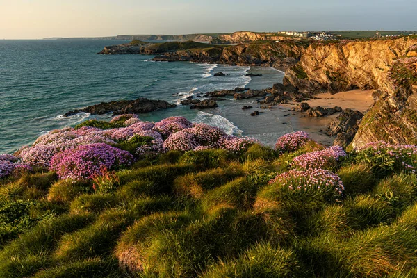 Güney Cornwall, İngiltere, İngiltere, İngiltere, İngiltere 'de Newquay Sahili kıyısındaki altın uçurumlar