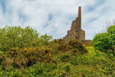 İngiltere, Cornwall 'daki Carn Galver Madeni harabeleri, İngiltere, Birleşik Krallık, Unesco
