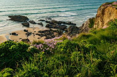 Güney Cornwall, İngiltere, İngiltere, İngiltere, İngiltere 'de Newquay Sahili kıyısındaki altın uçurumlar