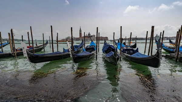 Γόνδολας Στην Προβλήτα Στο Grand Canal Βενετία Ιταλία Εκκλησία San — Φωτογραφία Αρχείου