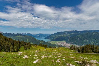 İsviçre 'nin Jungfrau dağı yakınlarındaki Schynige Platte' den İsviçre Alp Dağları 'nın panoramik manzarası