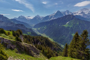 İsviçre 'nin Jungfrau dağı yakınlarındaki Schynige Platte' den İsviçre Alp Dağları 'nın panoramik manzarası