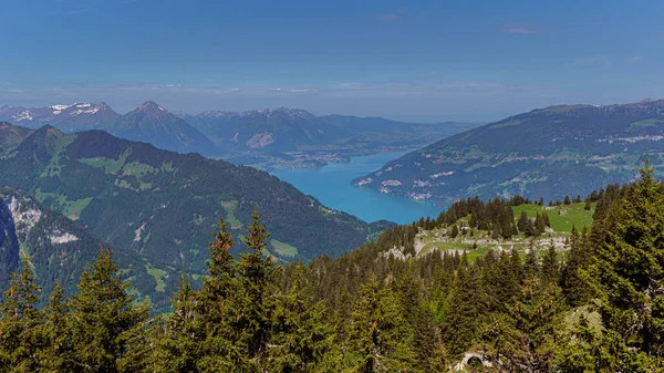 Panoramautsikt Över Schweiziska Alperna Från Schynige Platte — Stockfoto