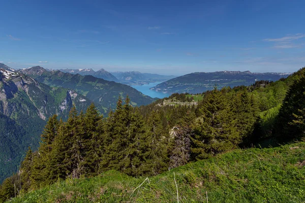 Panoramautsikt Över Schweiziska Alperna Från Schynige Platte — Stockfoto