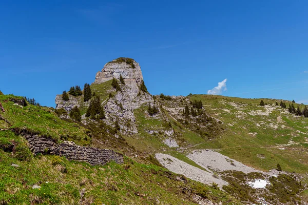 Vista Panoramica Delle Alpi Svizzere Dalla Schynige Platte Vicino Monte — Foto Stock