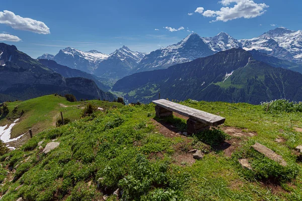 从瑞士Jungfrau山附近的Schynige Platte俯瞰瑞士阿尔卑斯山全景 — 图库照片
