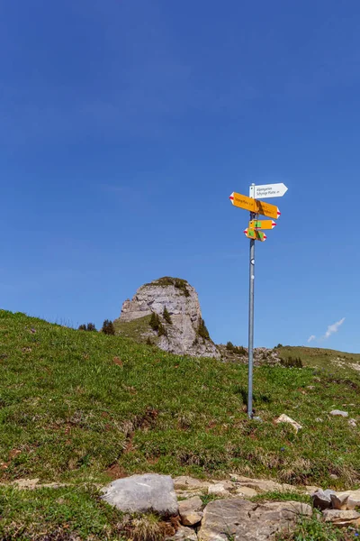 Schild Und Stein Der Schynige Platte Den Schweizer Alpen Schweiz — Stockfoto