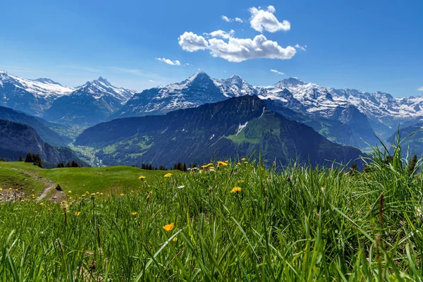 Вид Швейцарские Альпы Горы Шиниге Платт Расположенной Рядом Горой Мбаппе — стоковое фото
