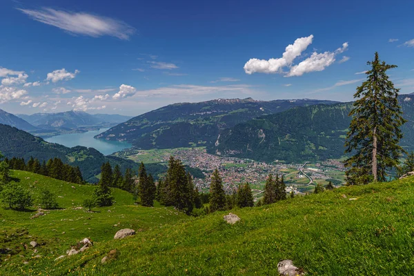 Panoramautsikt Över Schweiziska Alperna Från Schynige Platte Nära Berget Jungfrau — Stockfoto