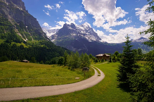 瑞士阿尔卑斯山前景中的房子 — 图库照片