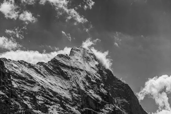 Blick Auf Die Schweizer Alpen Von Der Schynige Platte Der — Stockfoto