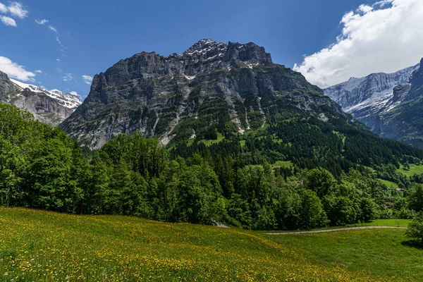 Berget Schweiziska Alperna Schweiz — Stockfoto