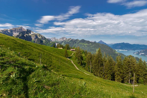 从瑞士Jungfrau山附近的Schynige Platte俯瞰瑞士阿尔卑斯山全景 — 图库照片