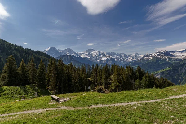 从瑞士Jungfrau山附近的Schynige Platte俯瞰瑞士阿尔卑斯山全景 — 图库照片