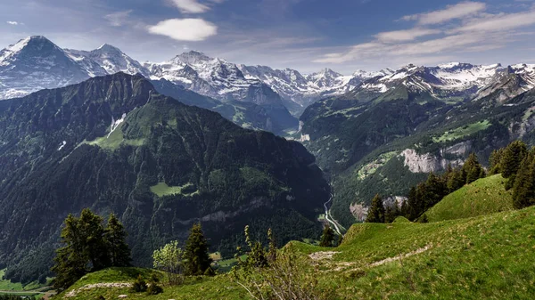 Panoramic View Swiss Alps Mountains Schynige Platte Jungfrau Mountain Switzerland — Stock Photo, Image