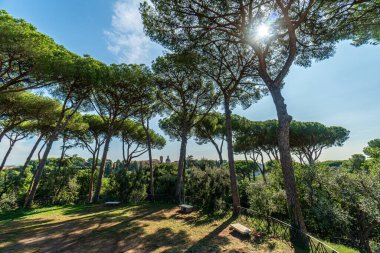 Roma, İtalya - 03 Ekim 2018: Roma, İtalya 'da Platine Hill ile Forum Romanum