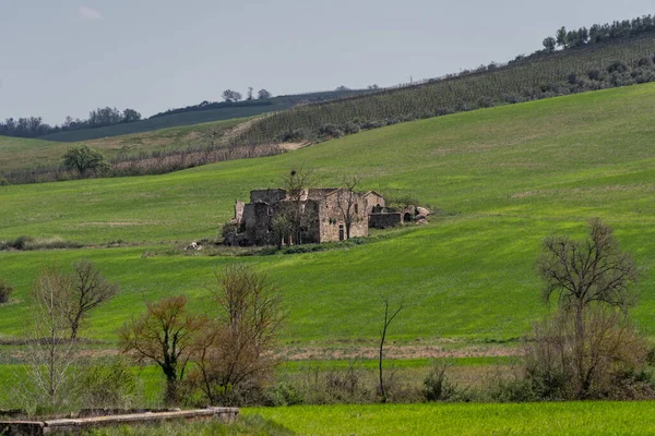 Immagine Paesaggistica Tipica Toscana Con Campi Colorati Primavera — Foto Stock