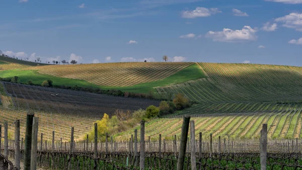 Typisk Landskapsbild Från Toscana Italien Med Färgglada Fält Våren — Stockfoto