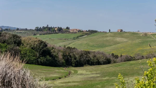 Baharda renkli tarlaları olan tipik Toskana İtalya manzarası